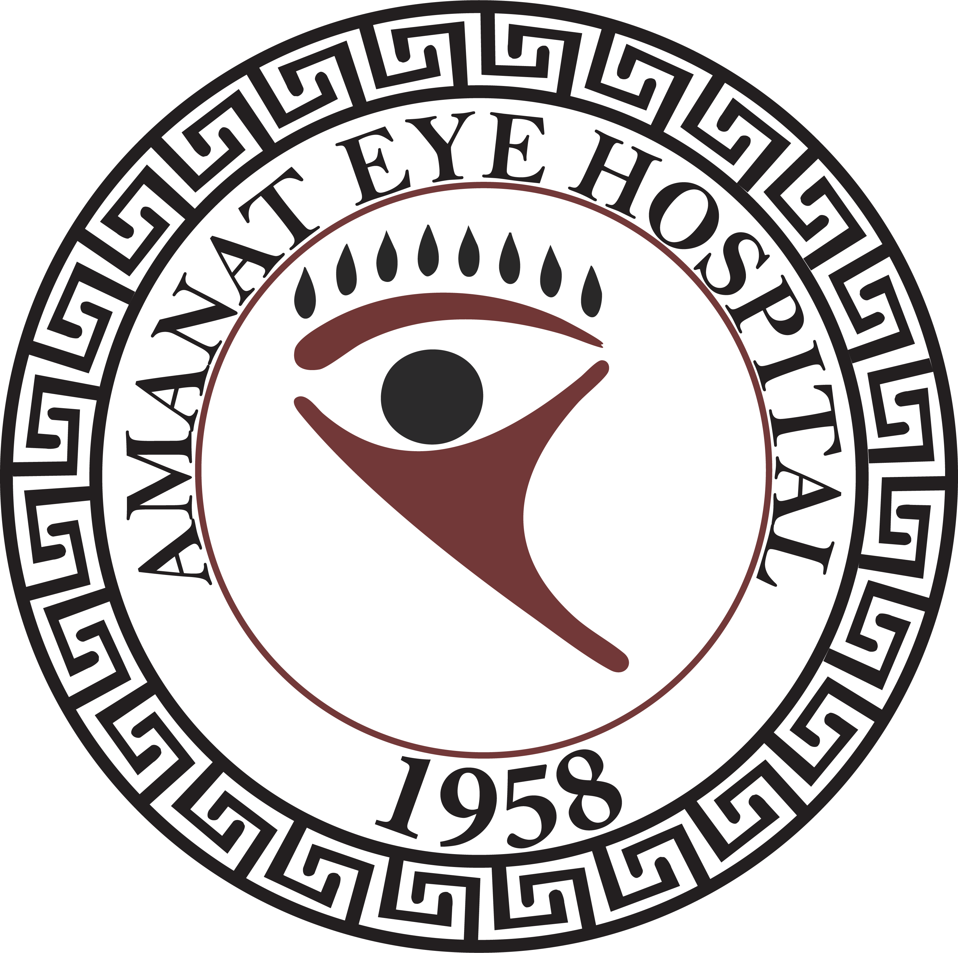 Amanat Eye Hospital Logo